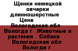 Щенки немецкой овчарки(длинношерстные) › Цена ­ 30 000 - Вологодская обл., Вологда г. Животные и растения » Собаки   . Вологодская обл.,Вологда г.